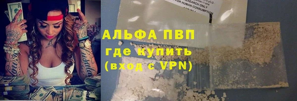 прущие грибы Нефтекумск