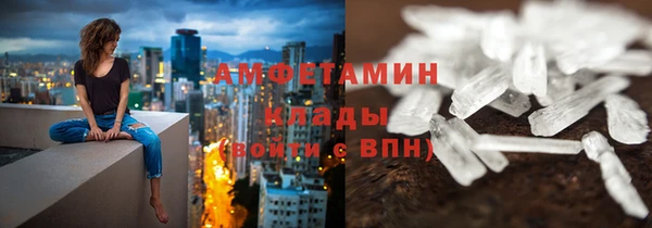 прущие грибы Нефтекумск