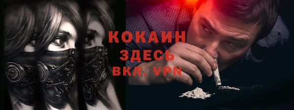 индика Наволоки