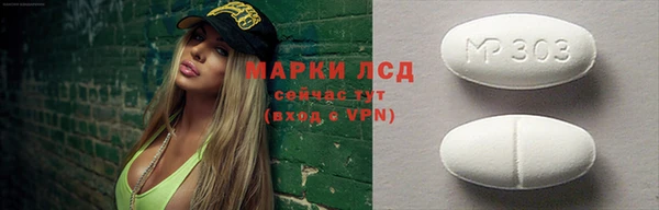 прущие грибы Нефтекумск