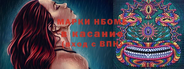 дмт Нея