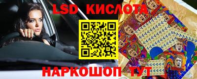 прущие грибы Краснознаменск