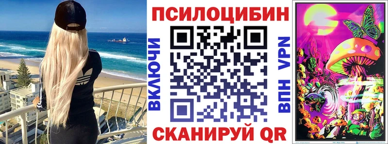 где можно купить   Северобайкальск  Галлюциногенные грибы Cubensis 