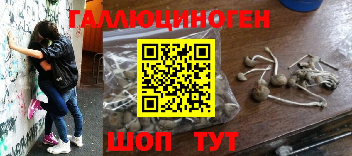 Псилоцибиновые грибы Magic Shrooms Северобайкальск