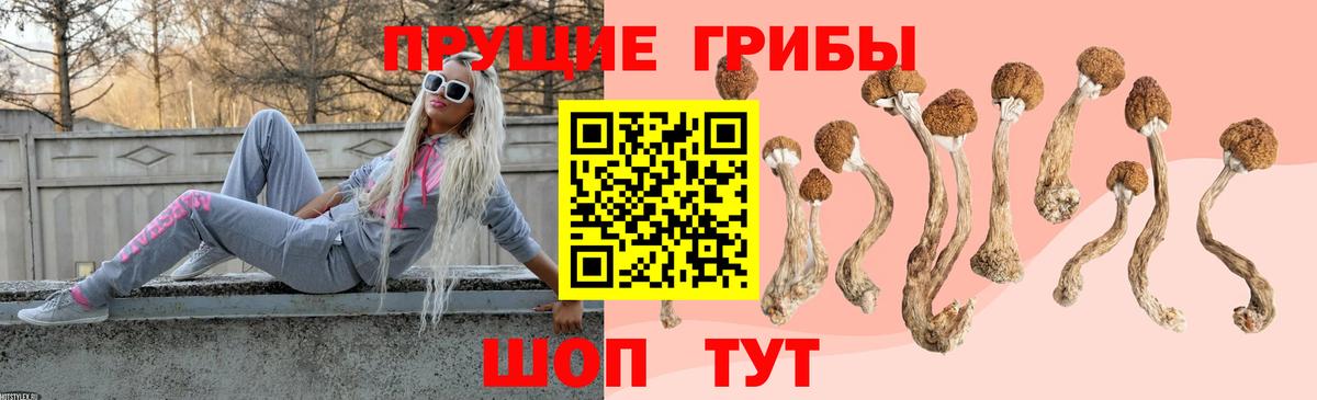 Псилоцибиновые грибы мицелий  Вход с VPN  купить   Северобайкальск  Галлюциногенные грибы мицелий 
