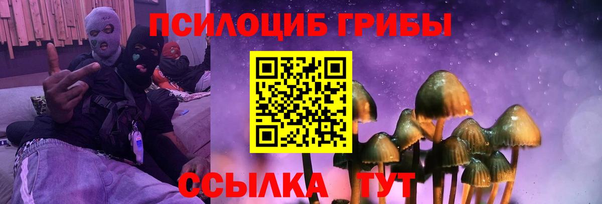 Псилоцибиновые грибы GOLDEN TEACHER  Северобайкальск 